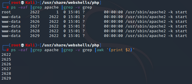 grep-v-image